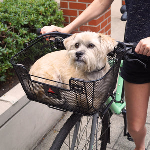 Axiom QR Dual Function Premium Pet Basket image 4