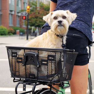 Axiom QR Dual Function Premium Pet Basket image 3