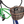 49°N St. Lawrence Wicker DLX QR Basket image 2