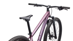 Specialized Rockhopper Expert