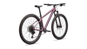 Specialized Rockhopper Expert