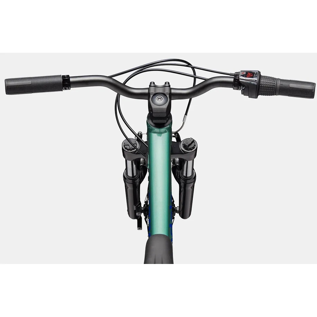 Cannondale Kids Trail 20