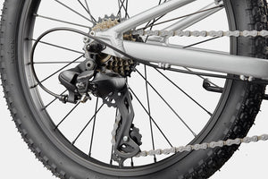 Cannondale Kids Trail 20