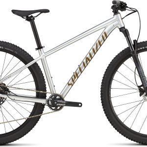 Specialized Rockhopper Expert - Gloss Silver Dust / Satin Burnt Gold Metallic